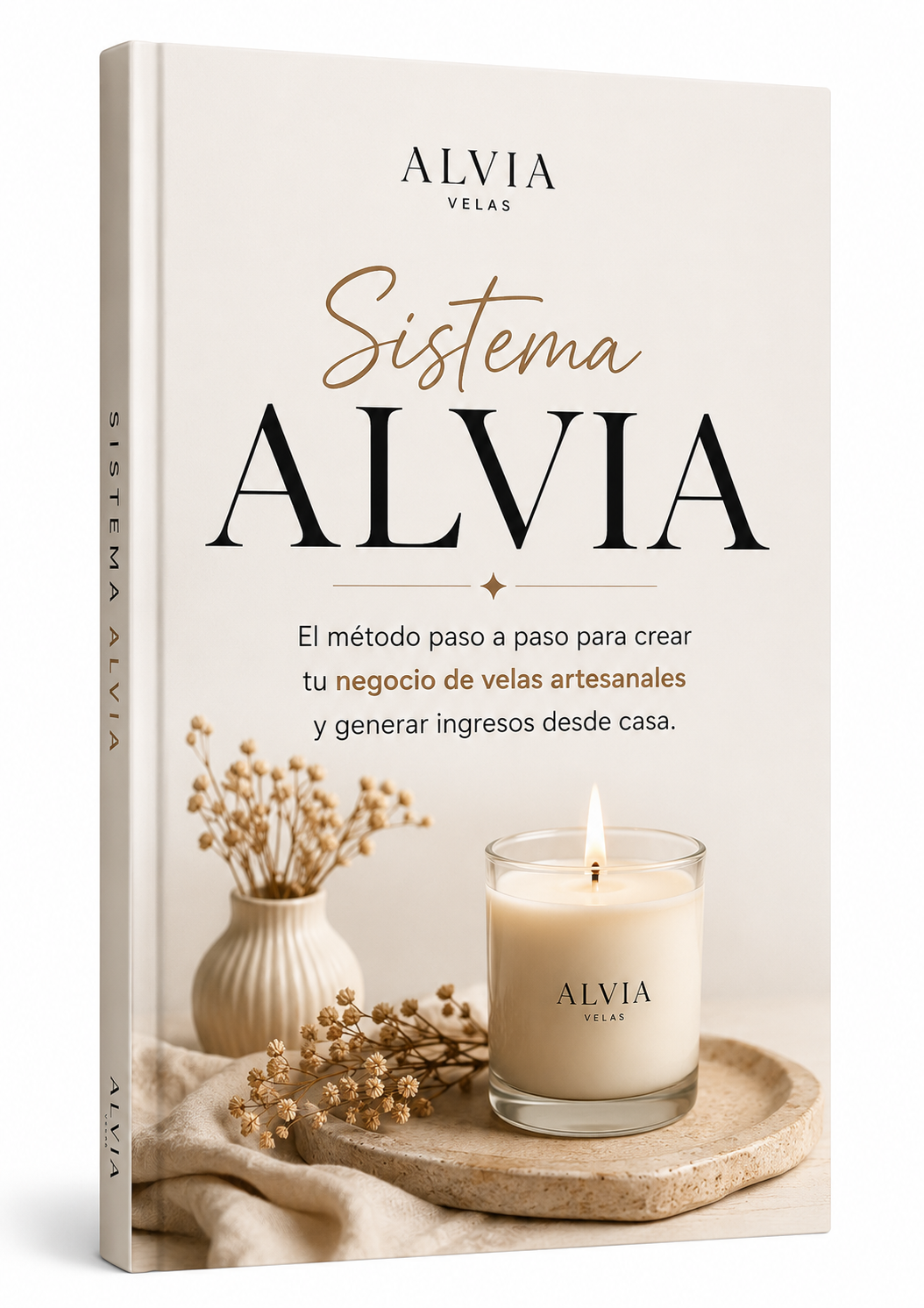 GUÍA PASO A PASO+ 4 BONOS DE REGALO 🎁